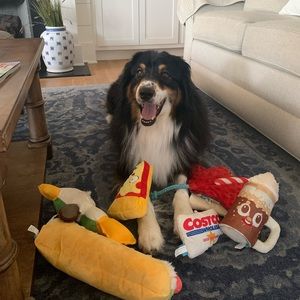 Meet your Posher, Sara